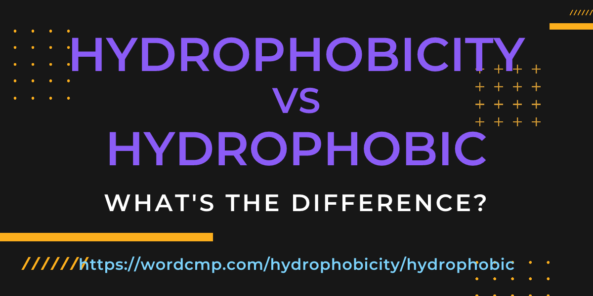 Difference between hydrophobicity and hydrophobic