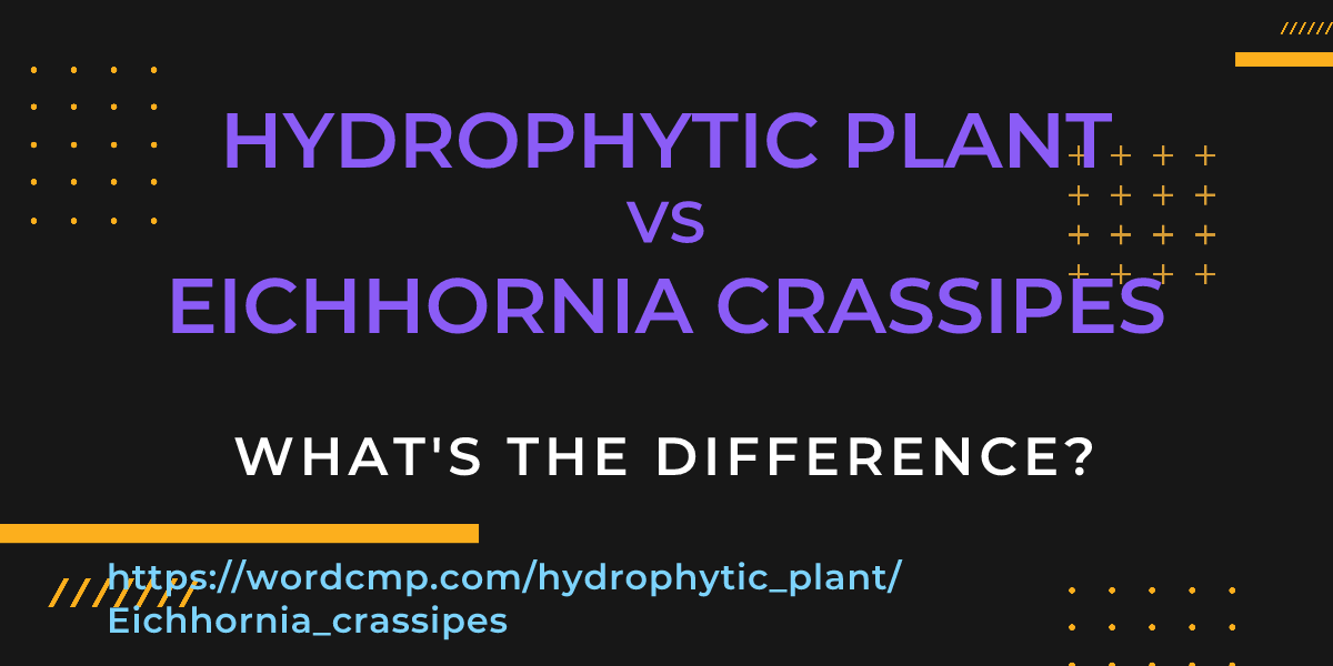 Difference between hydrophytic plant and Eichhornia crassipes