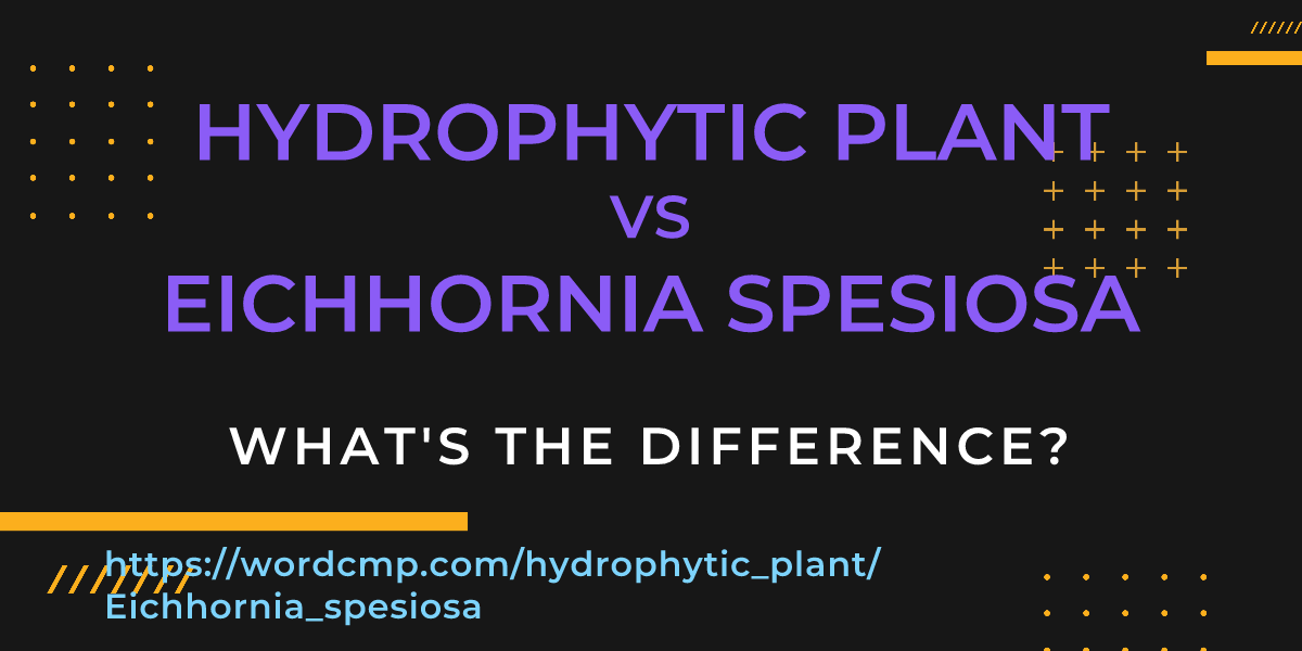 Difference between hydrophytic plant and Eichhornia spesiosa