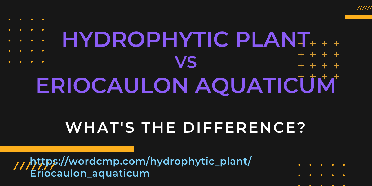 Difference between hydrophytic plant and Eriocaulon aquaticum