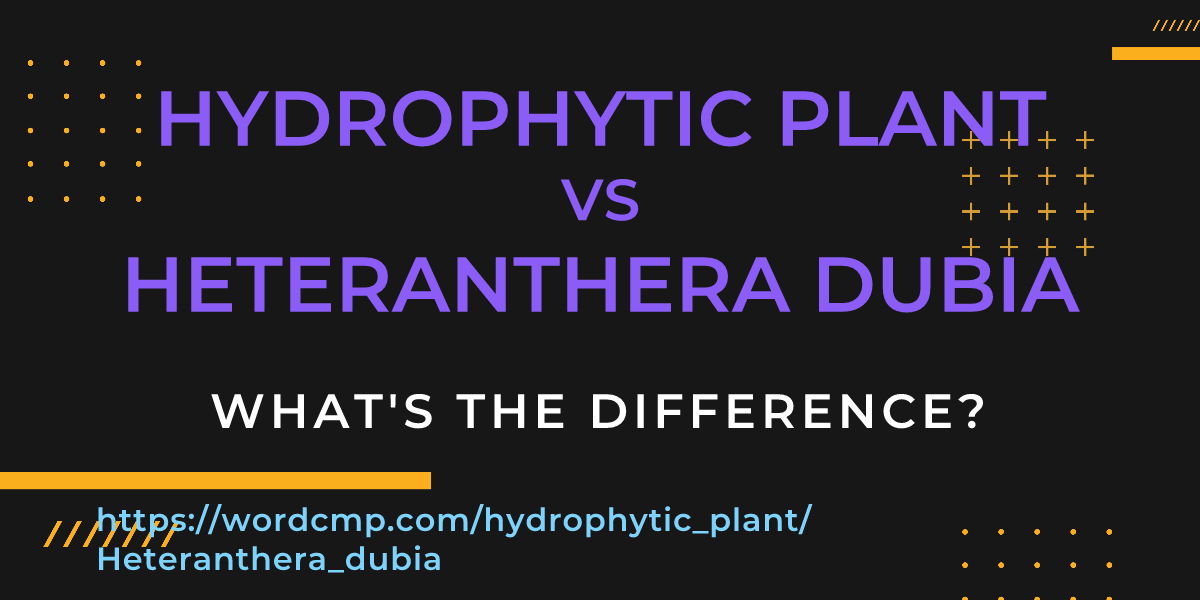 Difference between hydrophytic plant and Heteranthera dubia