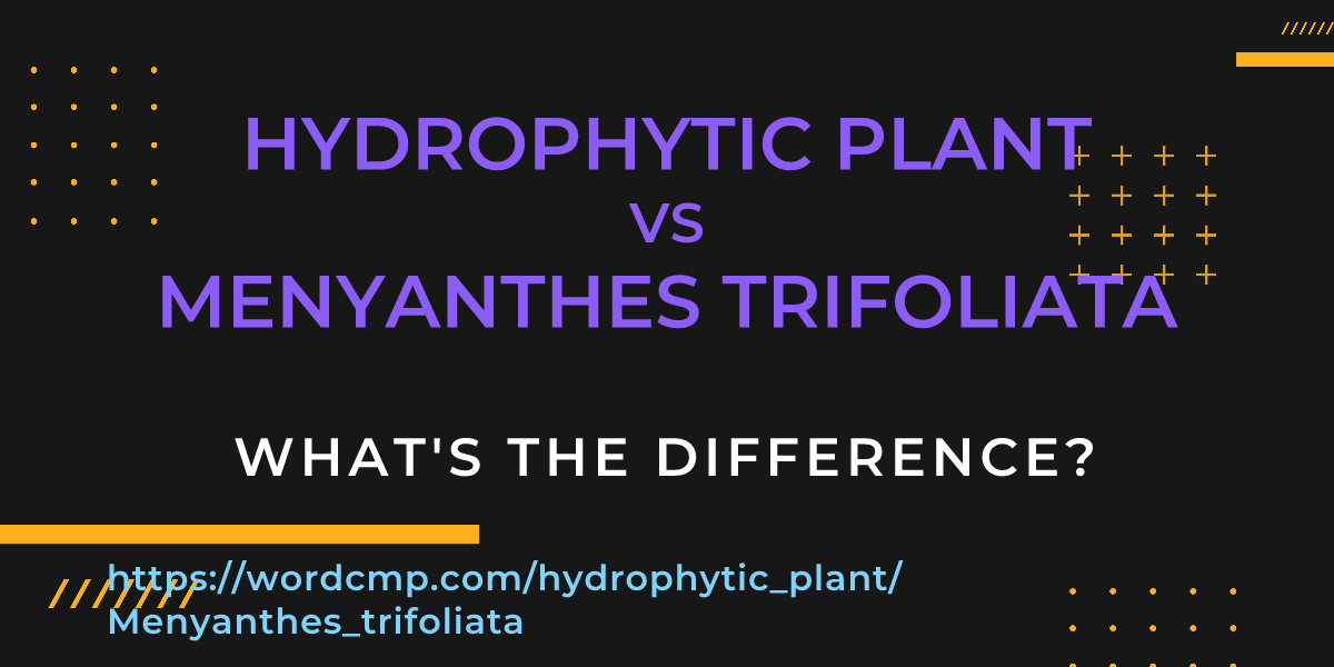 Difference between hydrophytic plant and Menyanthes trifoliata