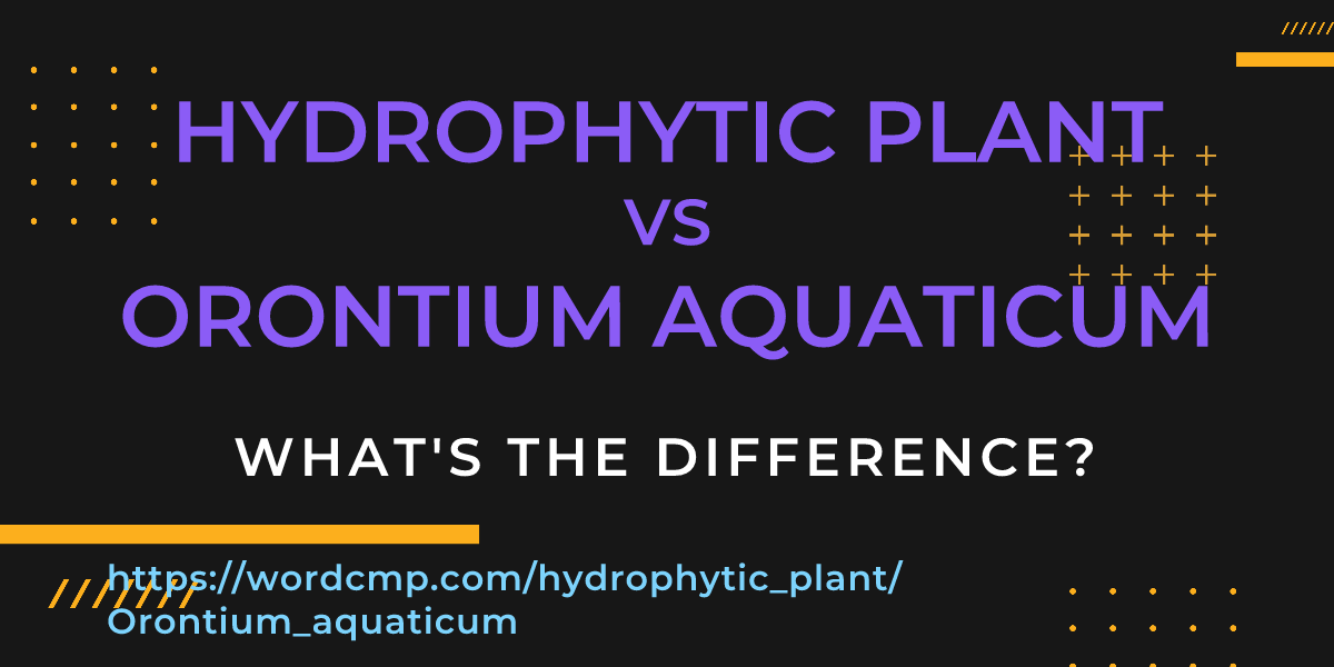 Difference between hydrophytic plant and Orontium aquaticum