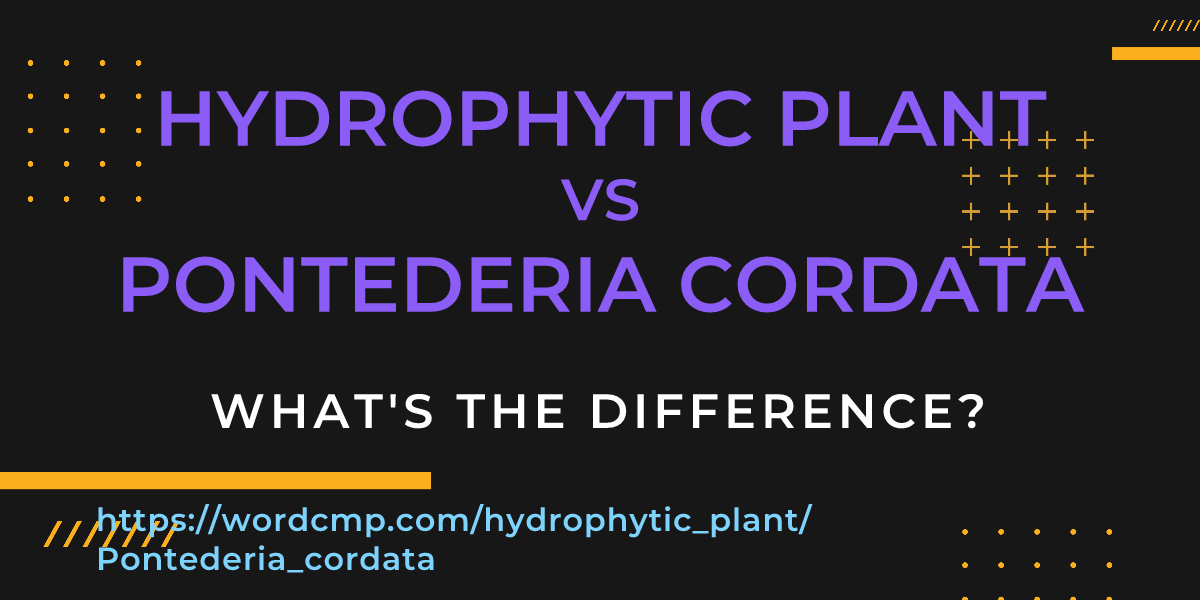 Difference between hydrophytic plant and Pontederia cordata