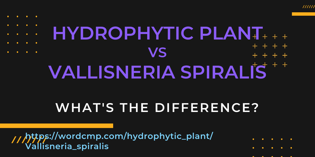 Difference between hydrophytic plant and Vallisneria spiralis