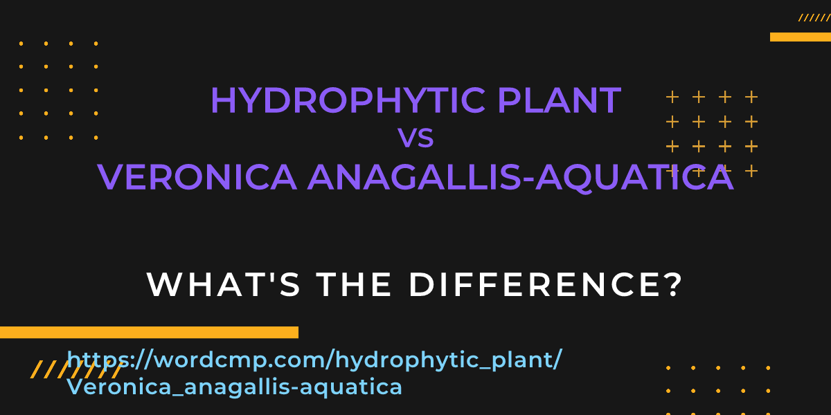 Difference between hydrophytic plant and Veronica anagallis-aquatica