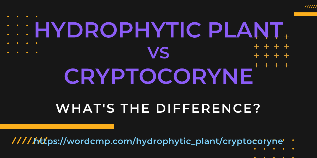 Difference between hydrophytic plant and cryptocoryne