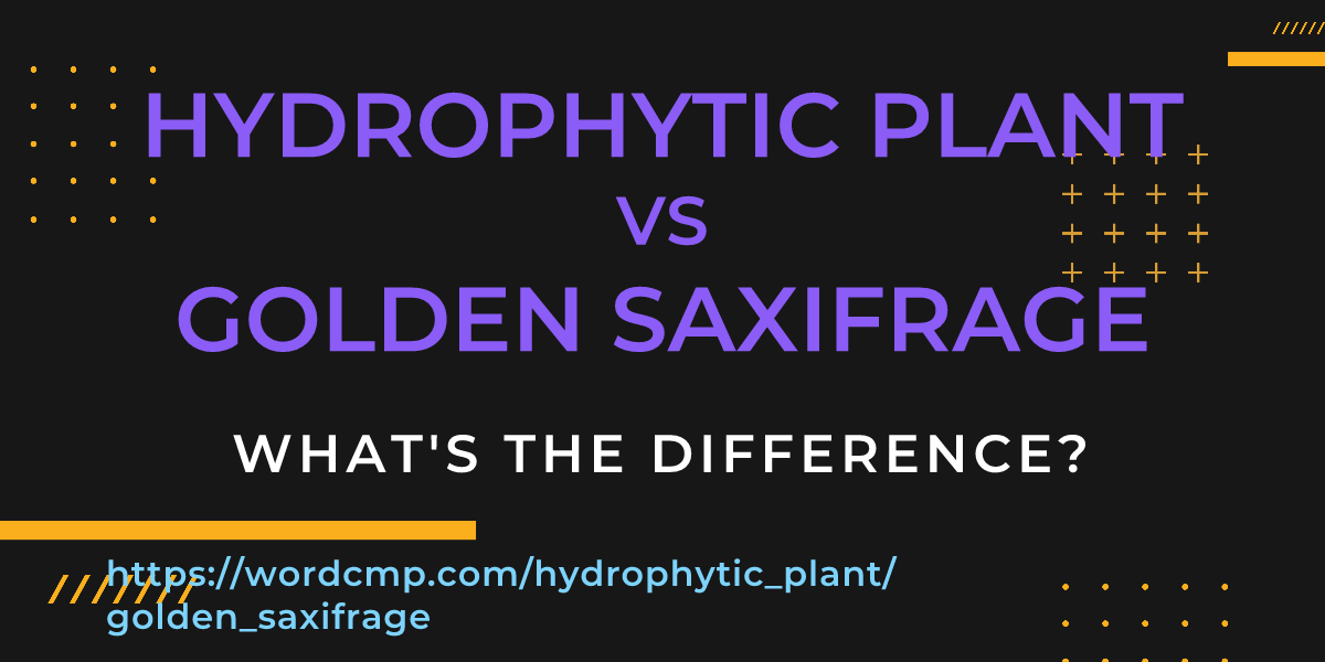 Difference between hydrophytic plant and golden saxifrage