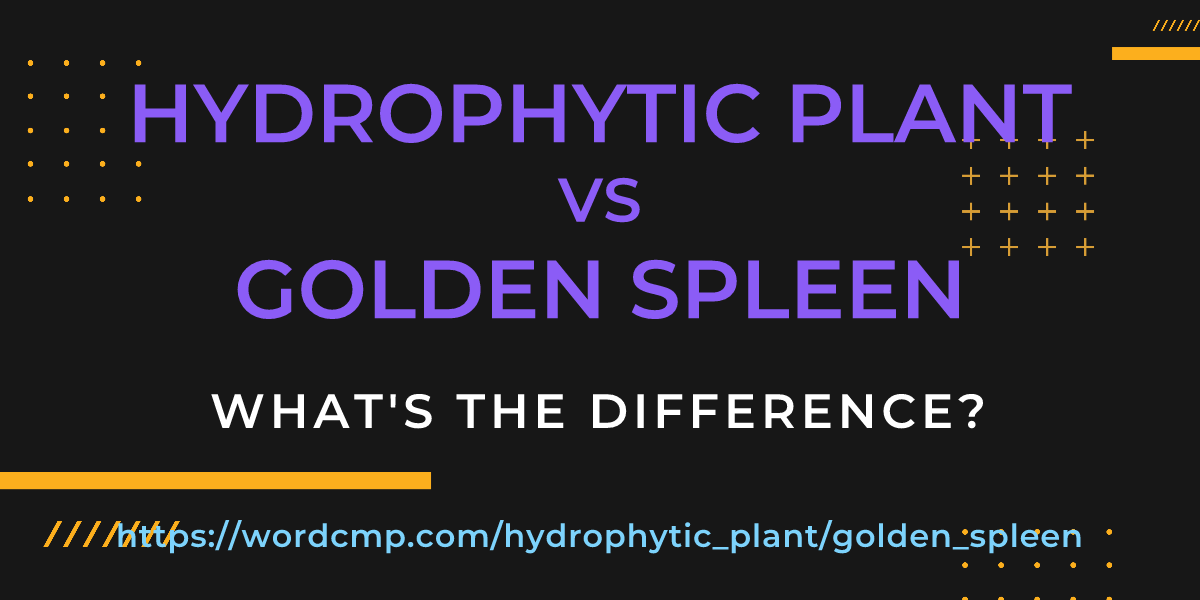 Difference between hydrophytic plant and golden spleen