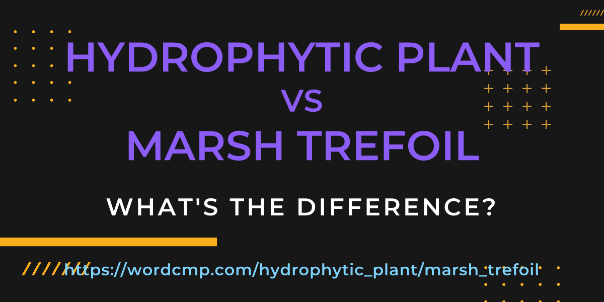 Difference between hydrophytic plant and marsh trefoil