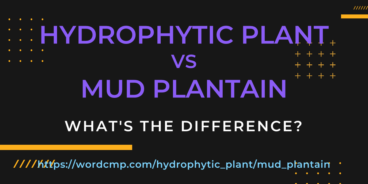Difference between hydrophytic plant and mud plantain