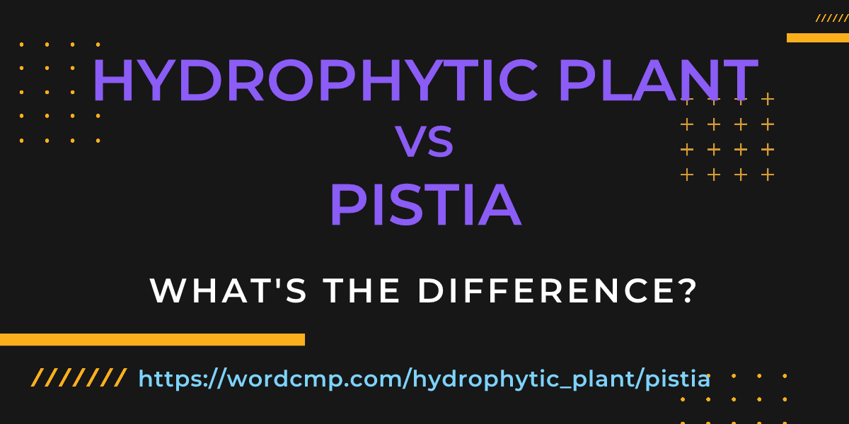 Difference between hydrophytic plant and pistia