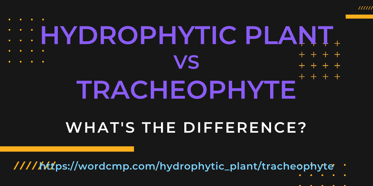 Difference between hydrophytic plant and tracheophyte