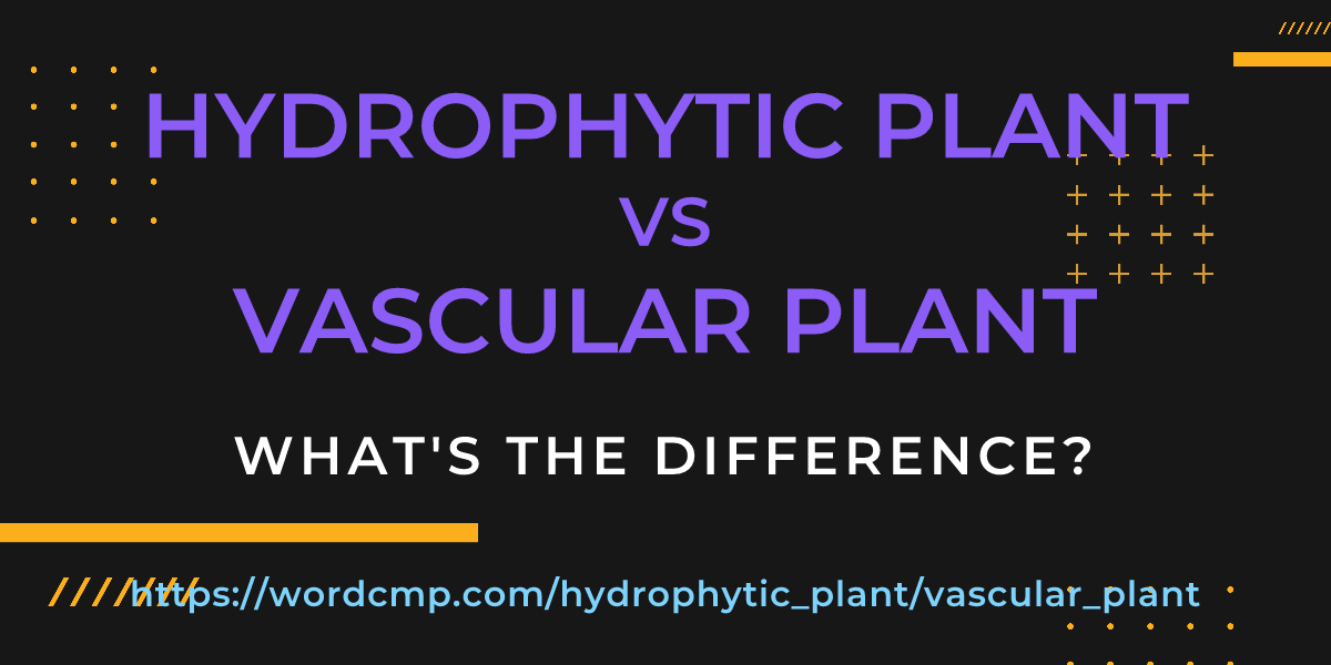 Difference between hydrophytic plant and vascular plant
