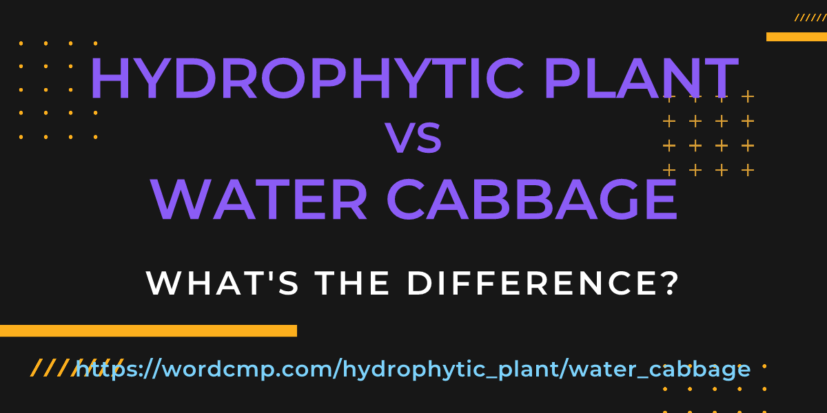 Difference between hydrophytic plant and water cabbage