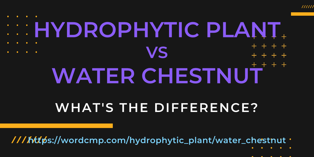 Difference between hydrophytic plant and water chestnut