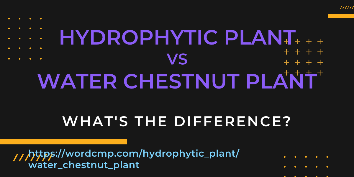 Difference between hydrophytic plant and water chestnut plant