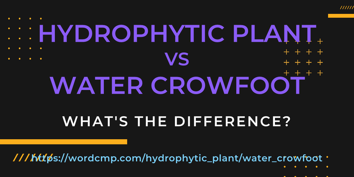 Difference between hydrophytic plant and water crowfoot