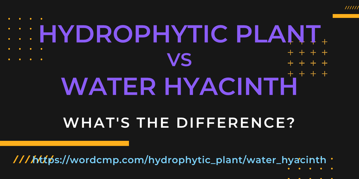 Difference between hydrophytic plant and water hyacinth