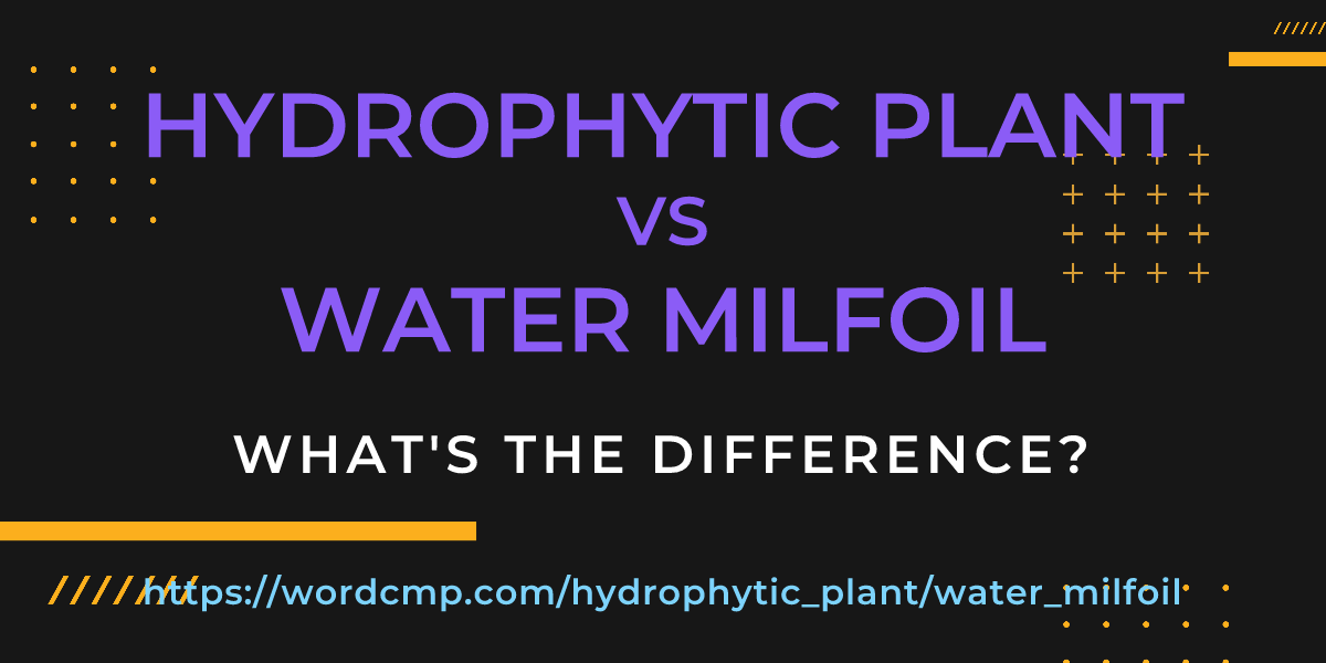 Difference between hydrophytic plant and water milfoil