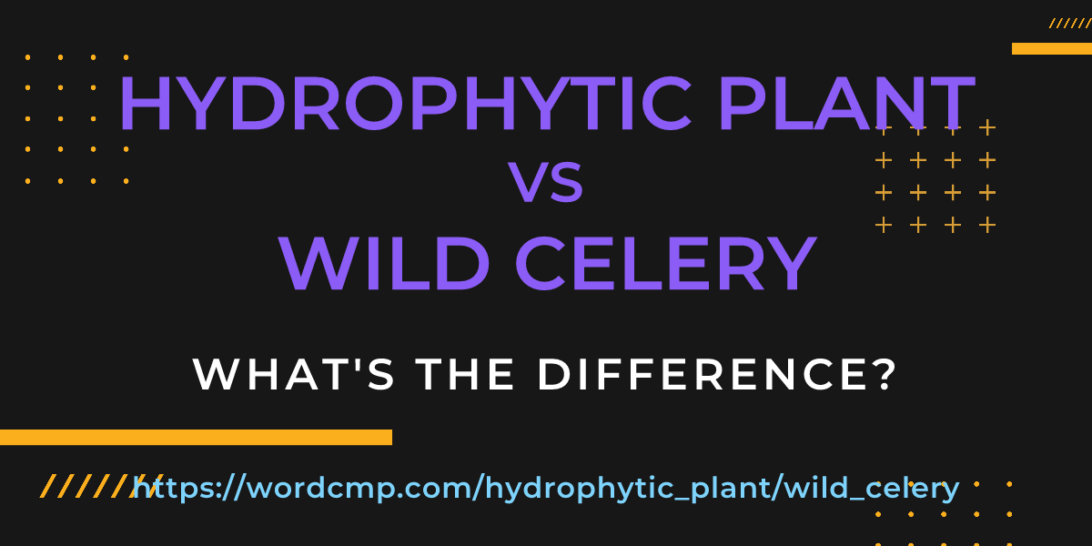 Difference between hydrophytic plant and wild celery