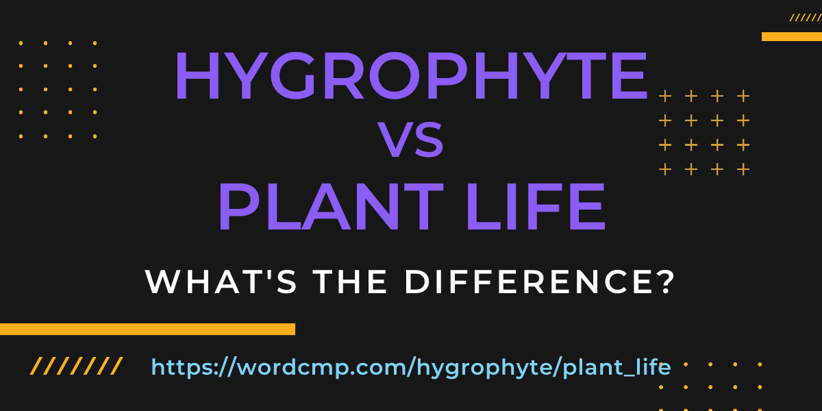 Difference between hygrophyte and plant life