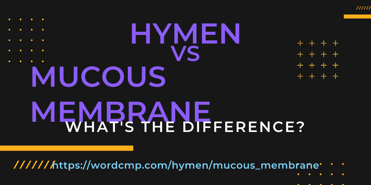 Difference between hymen and mucous membrane