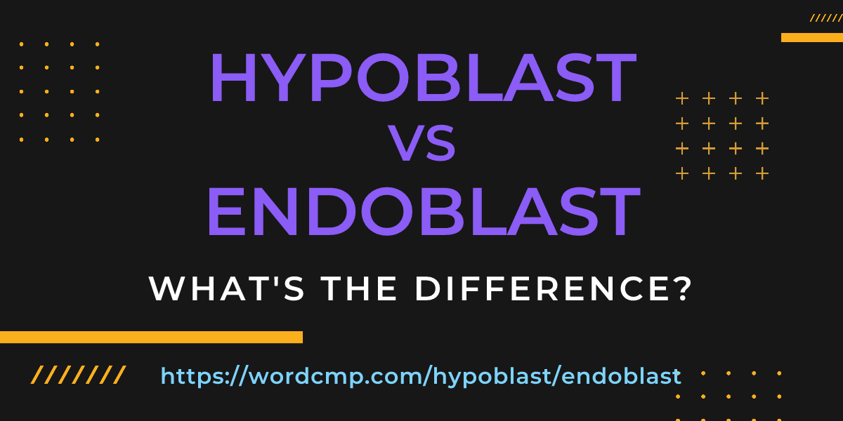 Difference between hypoblast and endoblast
