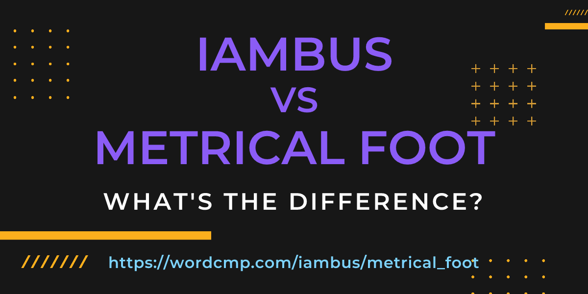 Difference between iambus and metrical foot