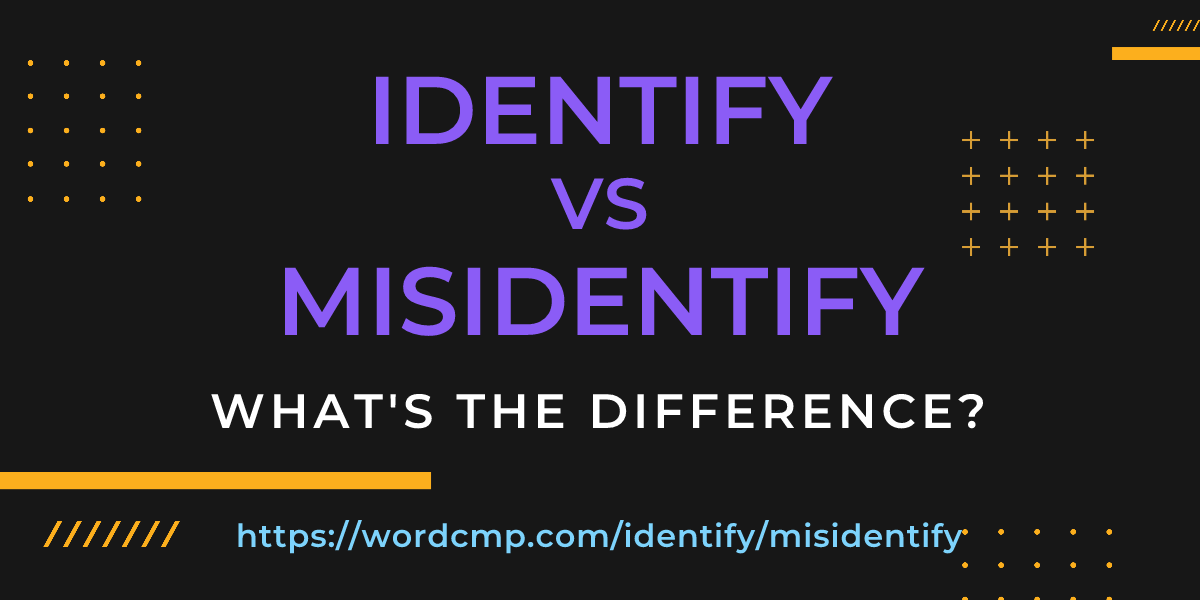 Difference between identify and misidentify
