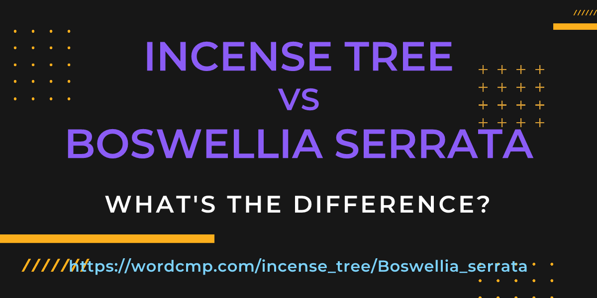Difference between incense tree and Boswellia serrata