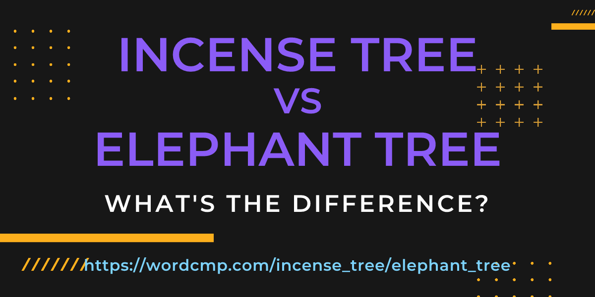 Difference between incense tree and elephant tree