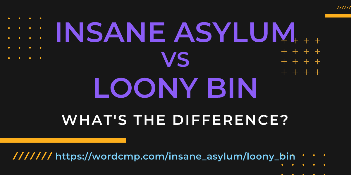 Difference between insane asylum and loony bin