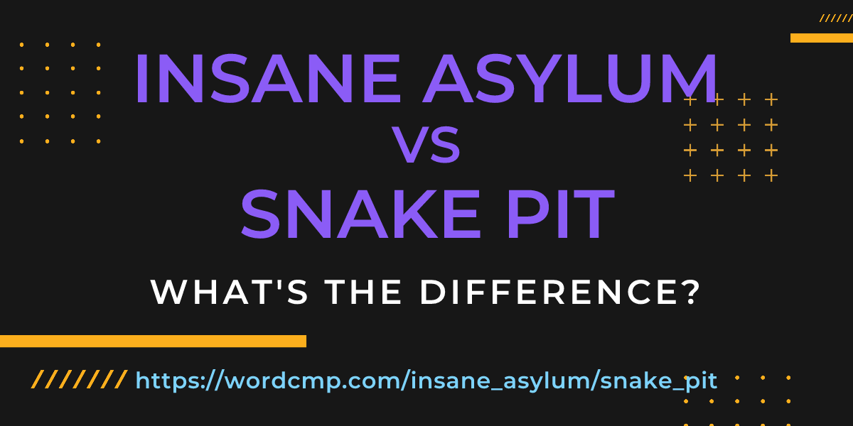 Difference between insane asylum and snake pit