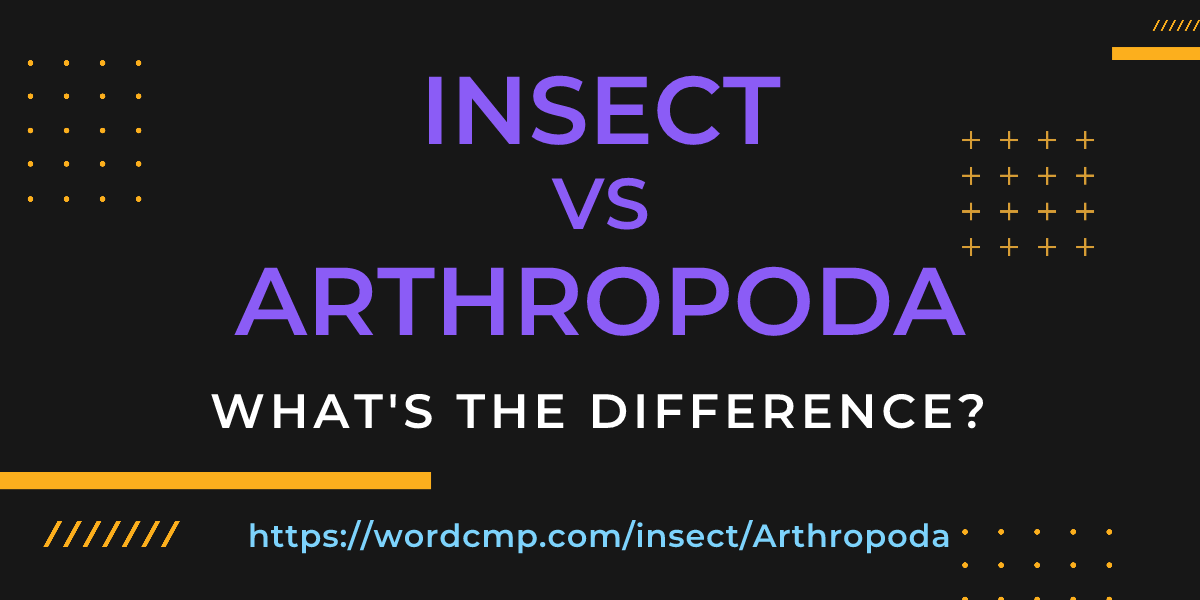 Difference between insect and Arthropoda