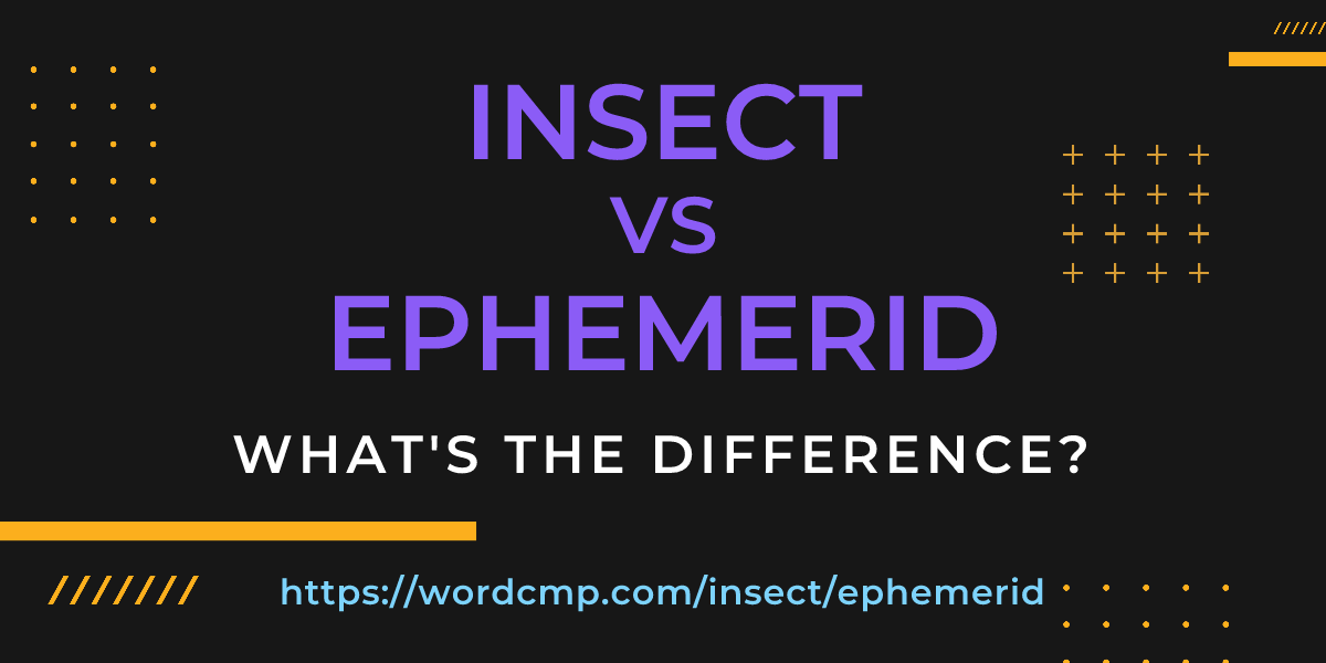 Difference between insect and ephemerid