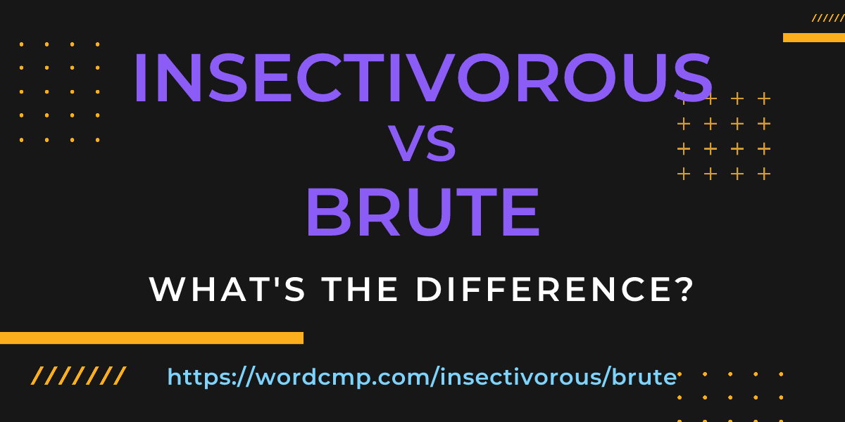 Difference between insectivorous and brute