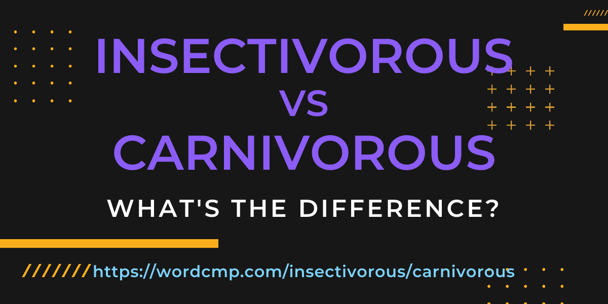 Difference between insectivorous and carnivorous