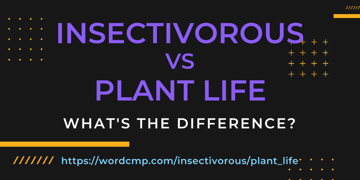 Difference between insectivorous and plant life