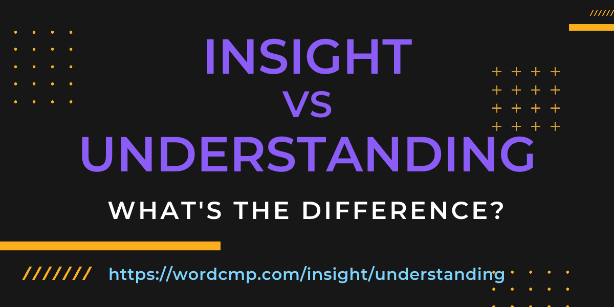Difference between insight and understanding