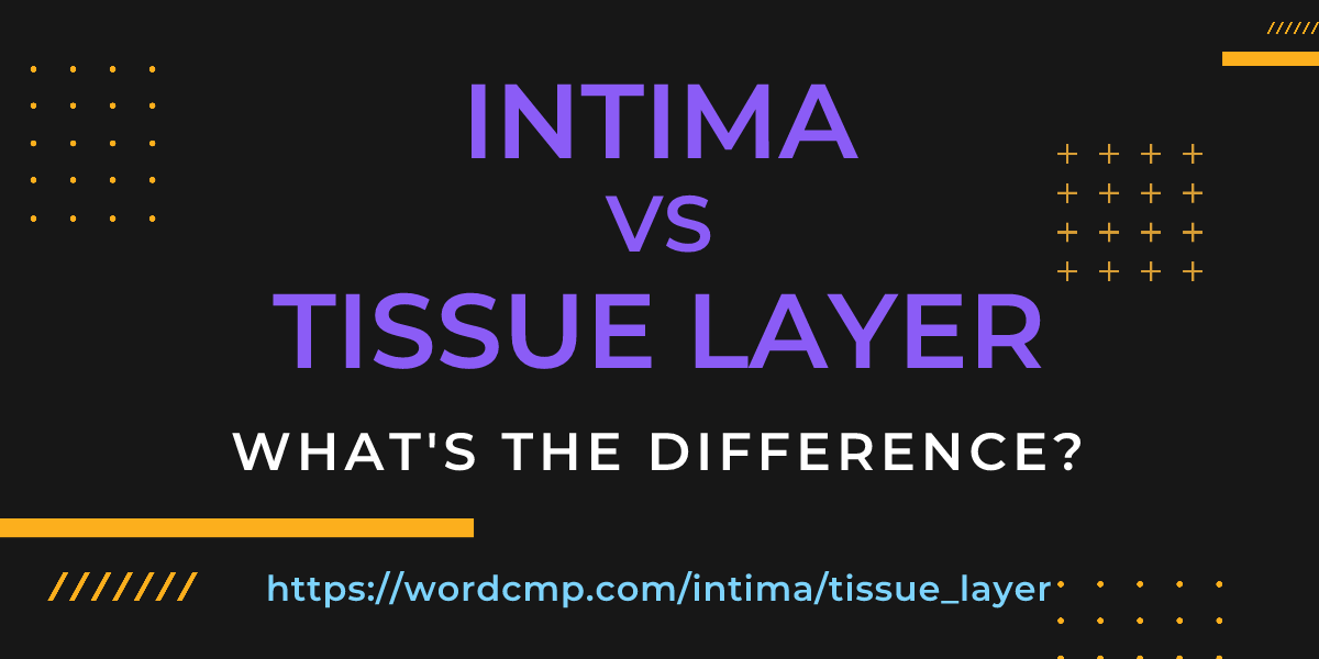 Difference between intima and tissue layer