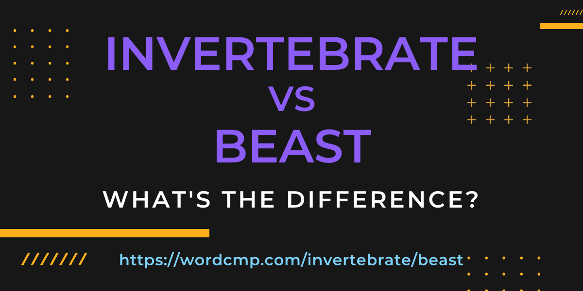 Difference between invertebrate and beast
