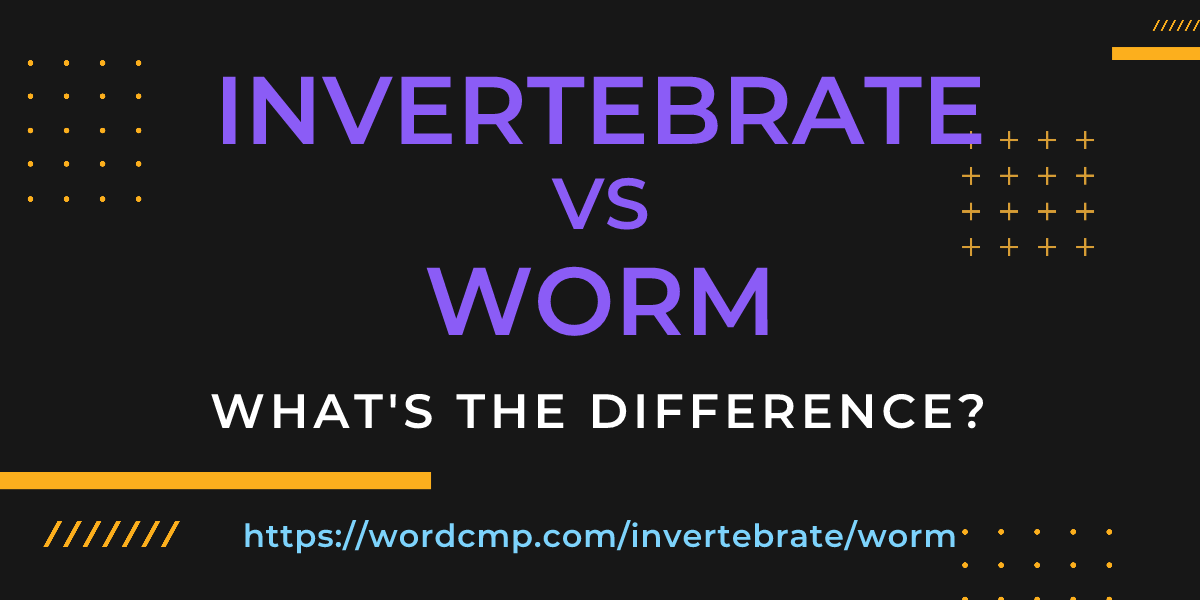 Difference between invertebrate and worm