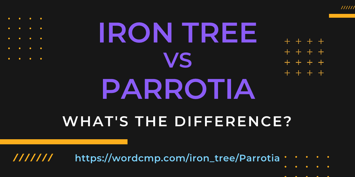 Difference between iron tree and Parrotia