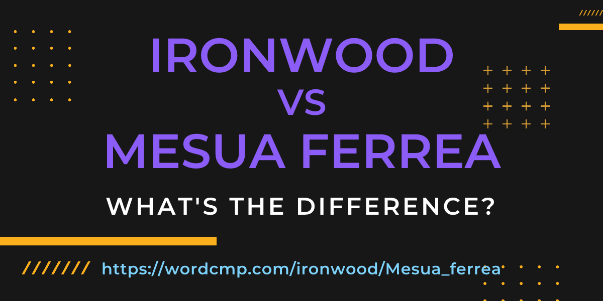 Difference between ironwood and Mesua ferrea