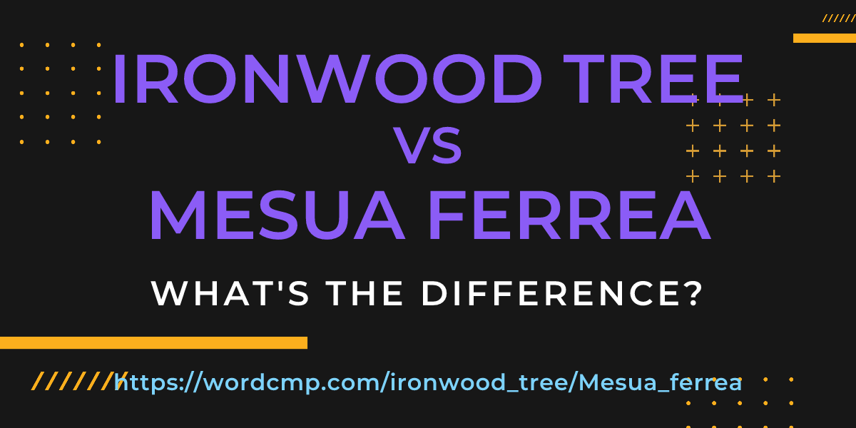Difference between ironwood tree and Mesua ferrea
