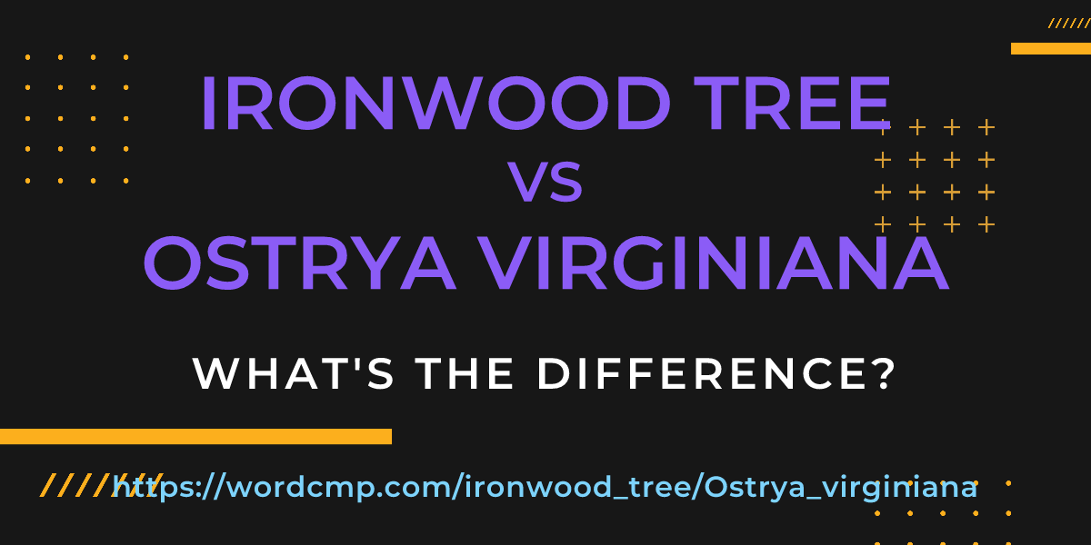 Difference between ironwood tree and Ostrya virginiana