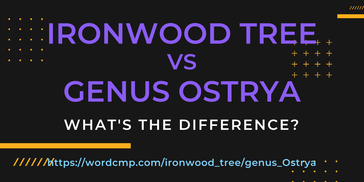 Difference between ironwood tree and genus Ostrya