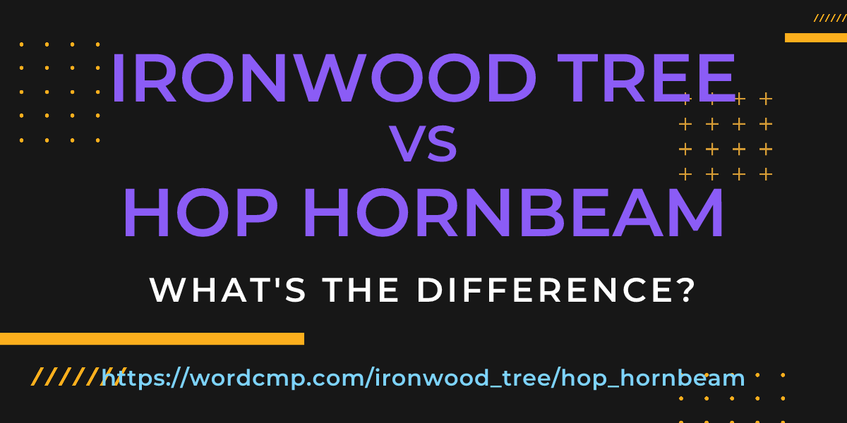 Difference between ironwood tree and hop hornbeam