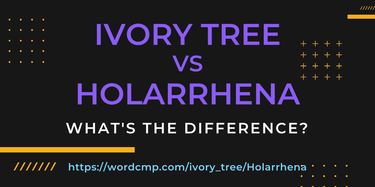 Difference between ivory tree and Holarrhena